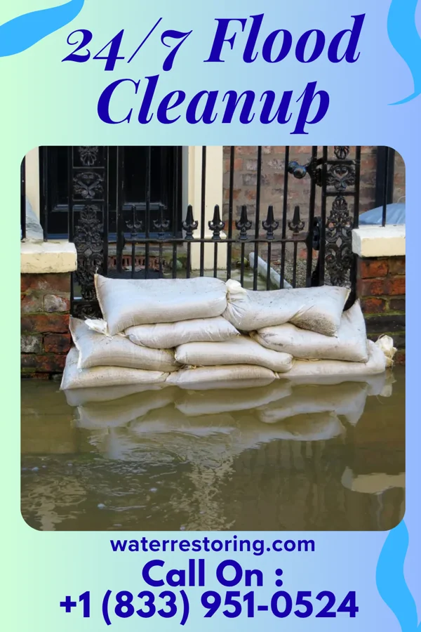 24/7 Flood Cleanup in Old Ripley, IL