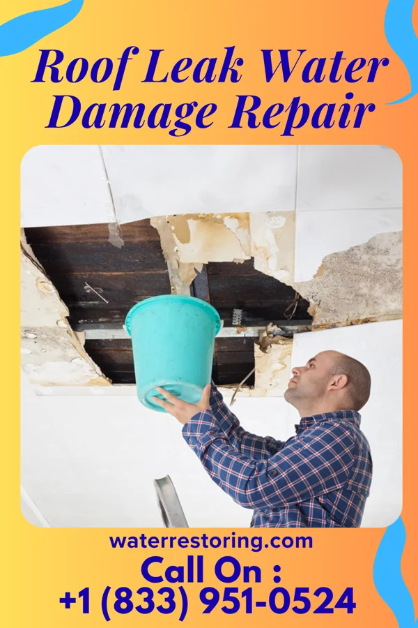 Roof Leak Water Damage Repair in Old Ripley, IL