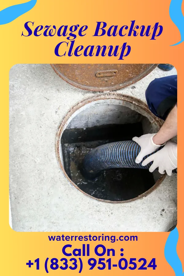 Sewage Backup Cleanup in Old Ripley, IL
